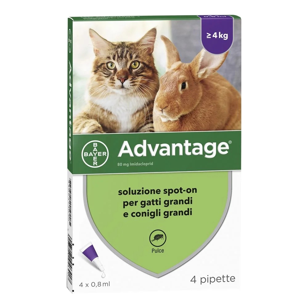 ADVANTIX Advantage Spot-On pour chats/lapins 4 x 80 mg | 4 x 0,8 ml