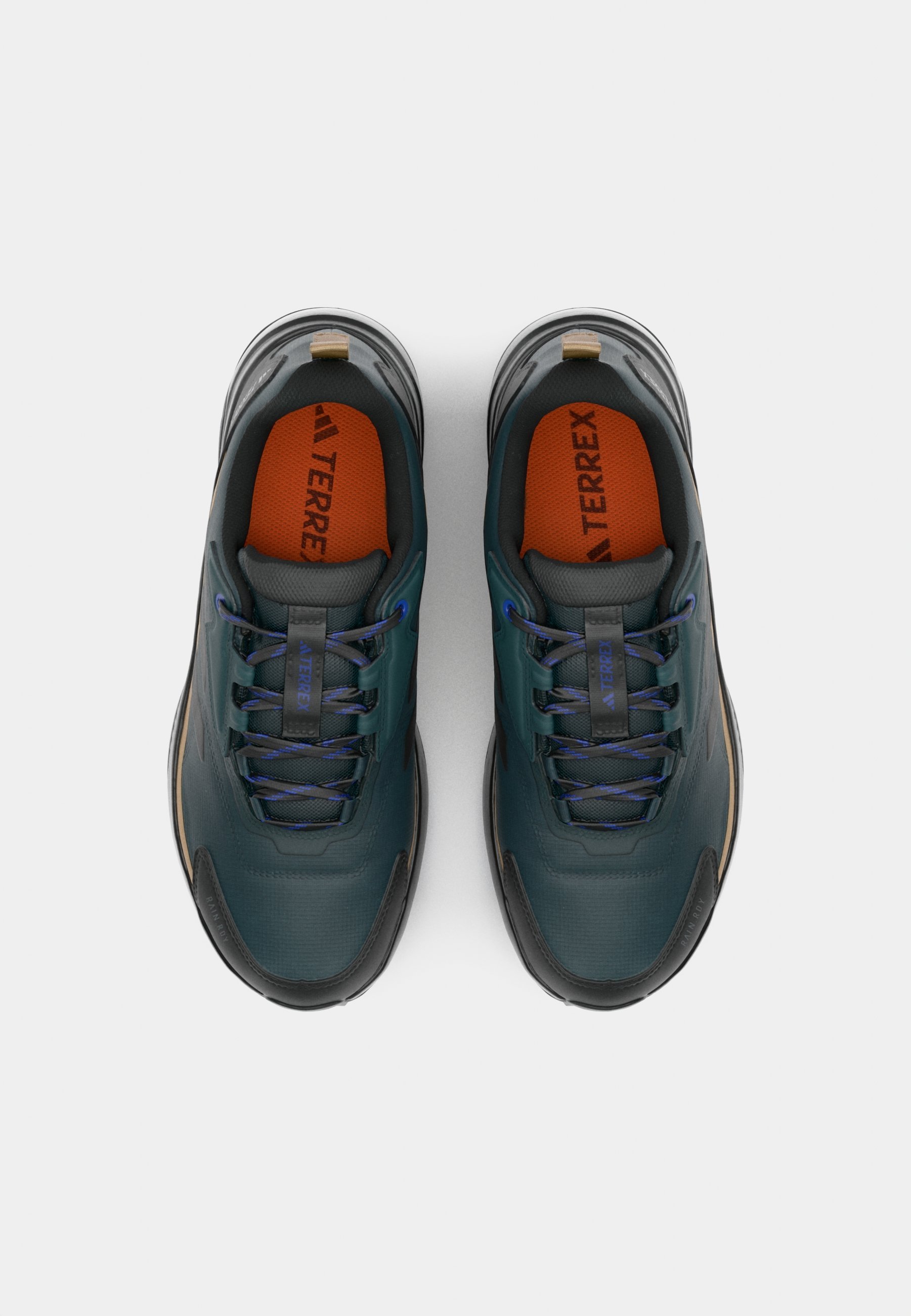 Adidas Terrex ANYLANDER R.RDY - Buty trekkingowe - aurora ivy/core black/cardboard
