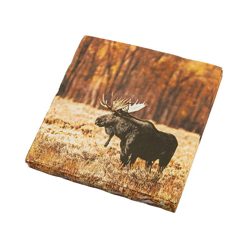 Vie Eco Servietter 20-pak 33x33 cm, Efterår