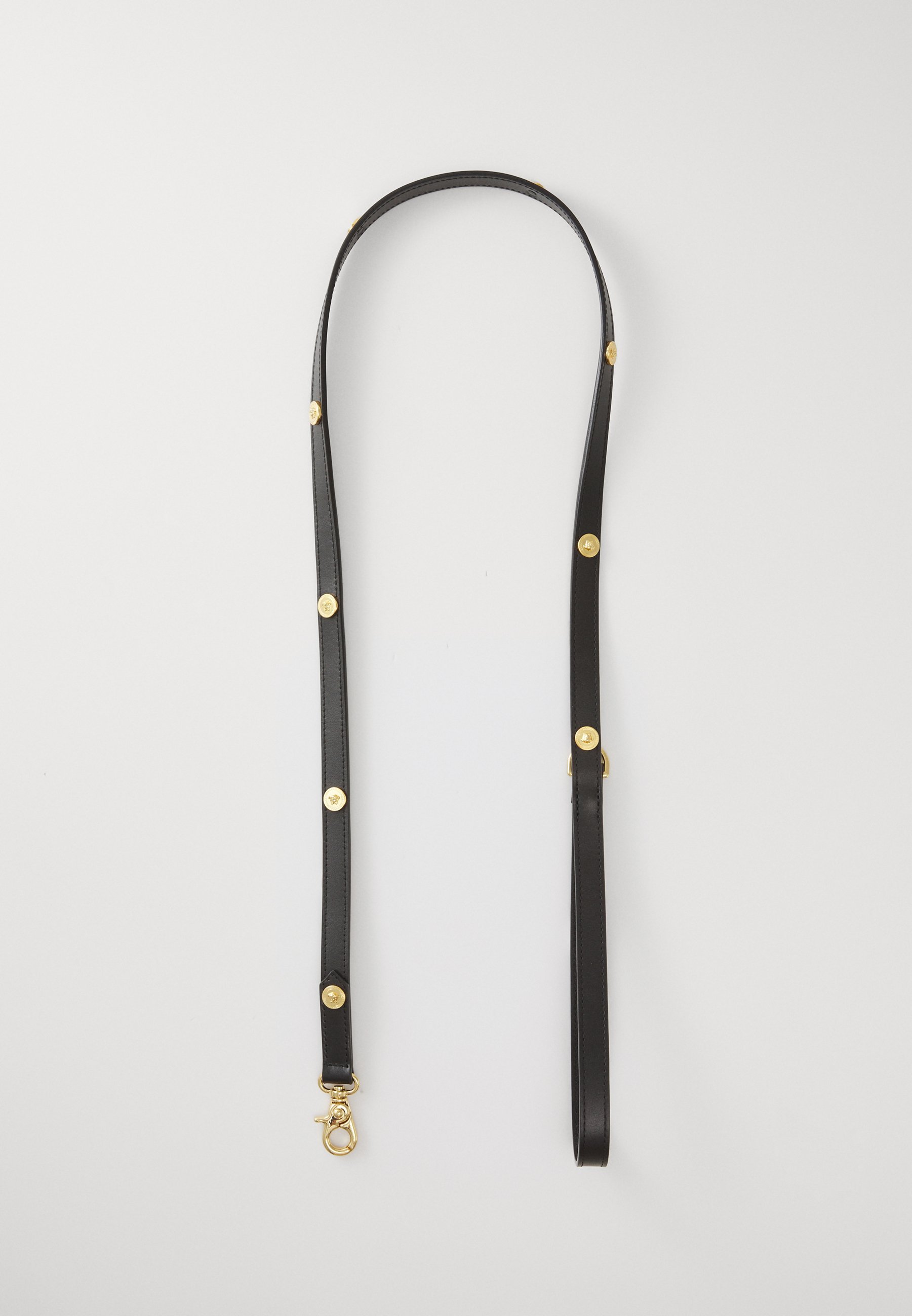 Versace Pet