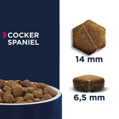 Eukanuba Cocker Spaniel Adult