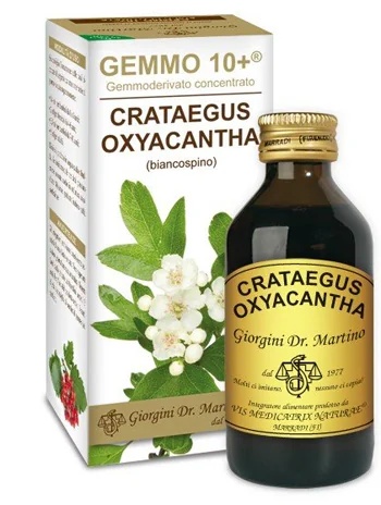 DR. GIORGINI Dr. Giorgini Gemmo 10+ Meidoorn alcoholvrije vloeistof 100 ml Veganistisch