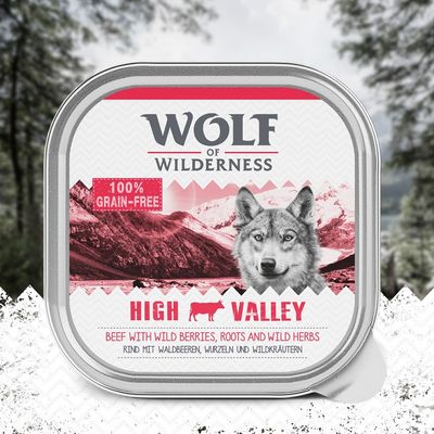 Wolf of Wilderness Adult Classic 6 x 300 g