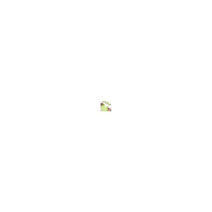 Paquete de 100 bolsas resistentes al desgarro, biodegradables y compostables para residuos de cocina y alimentos (bolsas PZCC).