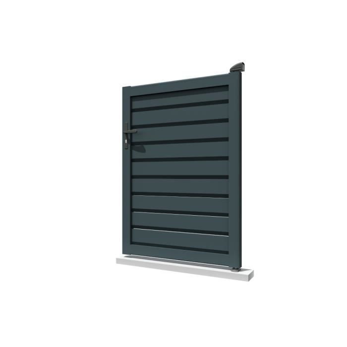 Privacy screen gate, anthracite grey, W 1000 x H 1407 mm