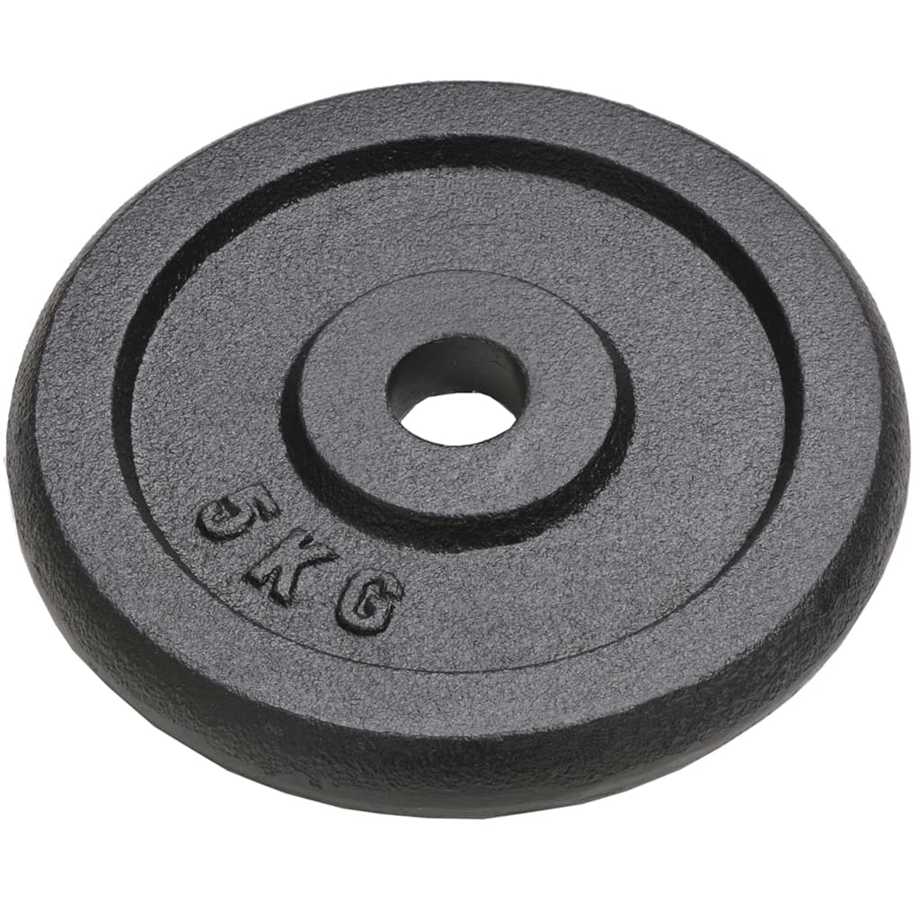  Vidaxl Gewichtsscheiben aus Gusseisen, 4 Stück (2 x 10 kg + 2 x 5 kg)