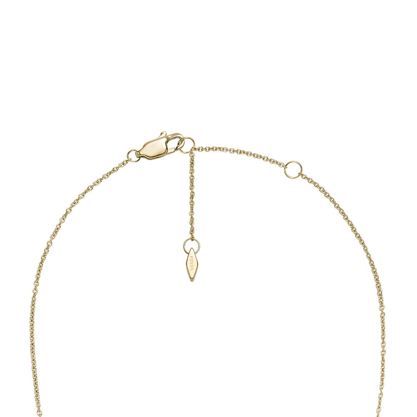 Fossil Chaînes