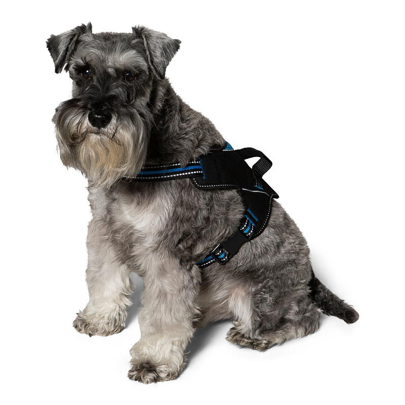 Zoozaker hundesele 35 cm, med håndtak