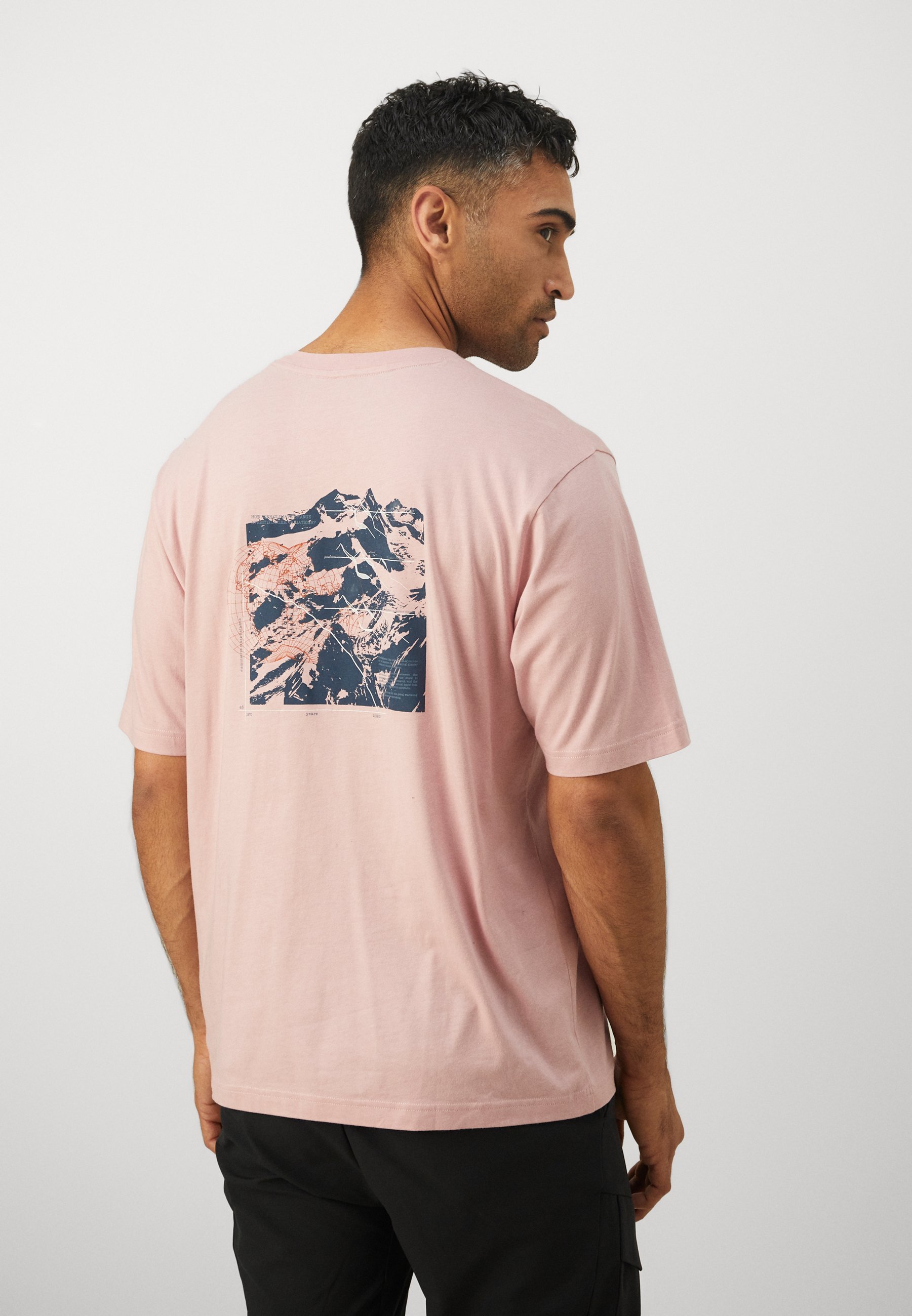 Salewa EAGLE GLACIER - T-shirt met print - zephyr