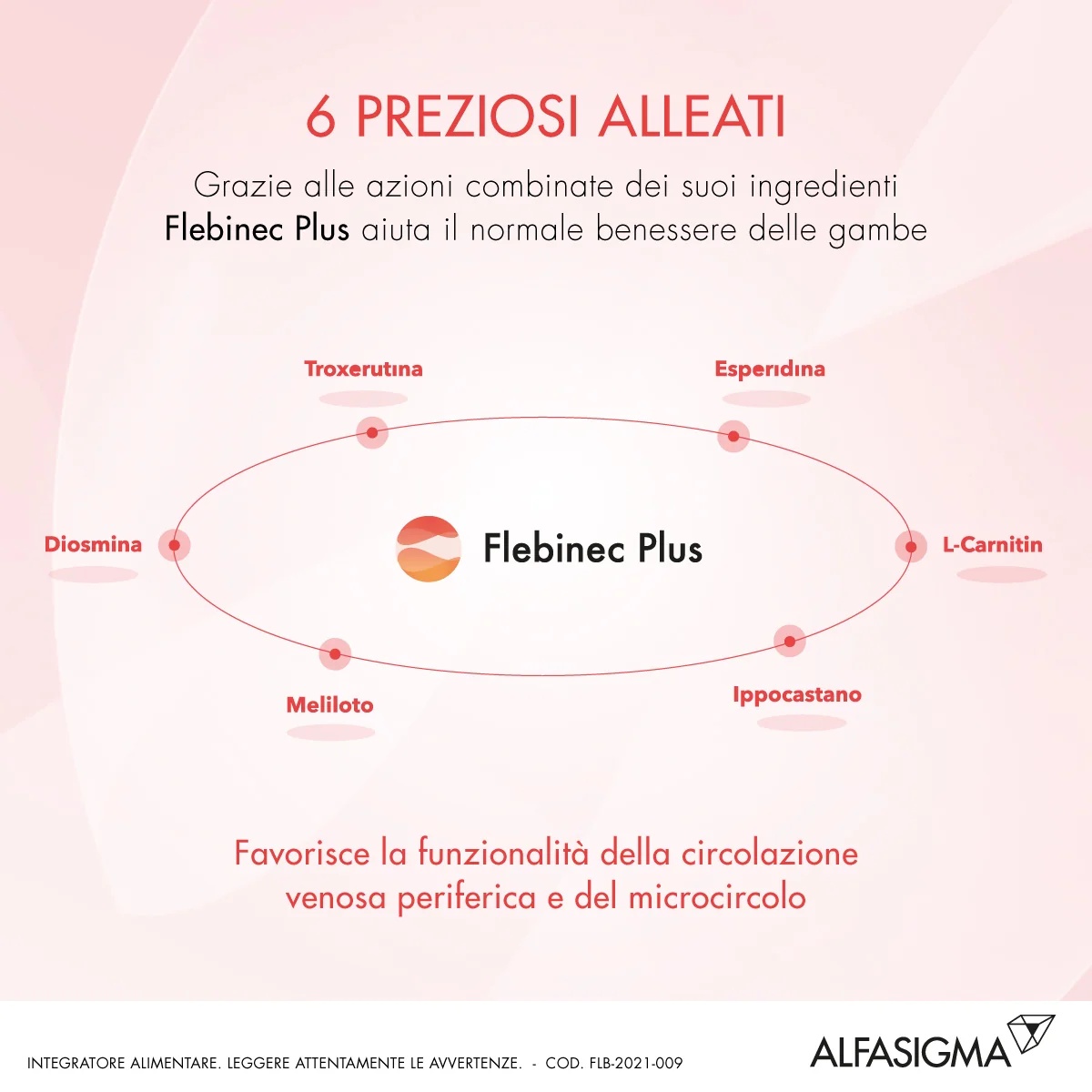 FLEBINEC Flebinec Plus 14 sachês de 4 g Suplemento alimentar para a microcirculação