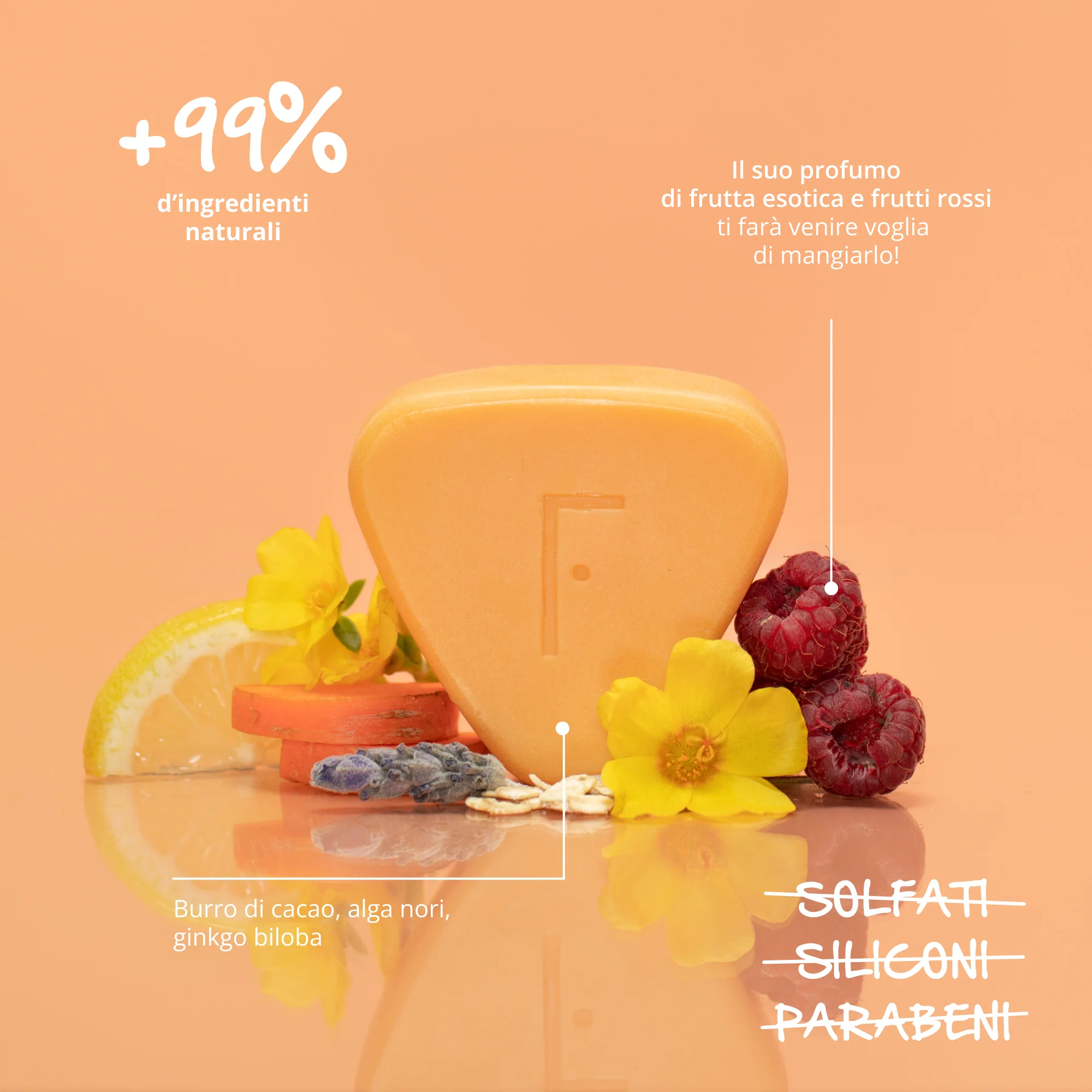 Cura dei Capelli Tropical Fruit Solid Shampoo - Shampoo Delicato, Shampoo Nutriente, Shampoo Anticrespo