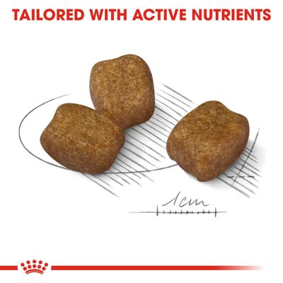 Royal Canin Mini -koiranruoka