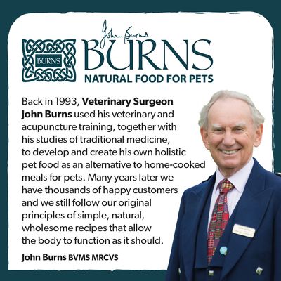 Burns Original für Erwachsene und Senioren – Lamm & Naturreis