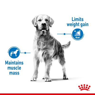 Royal Canin Medium Light Weight Care táp