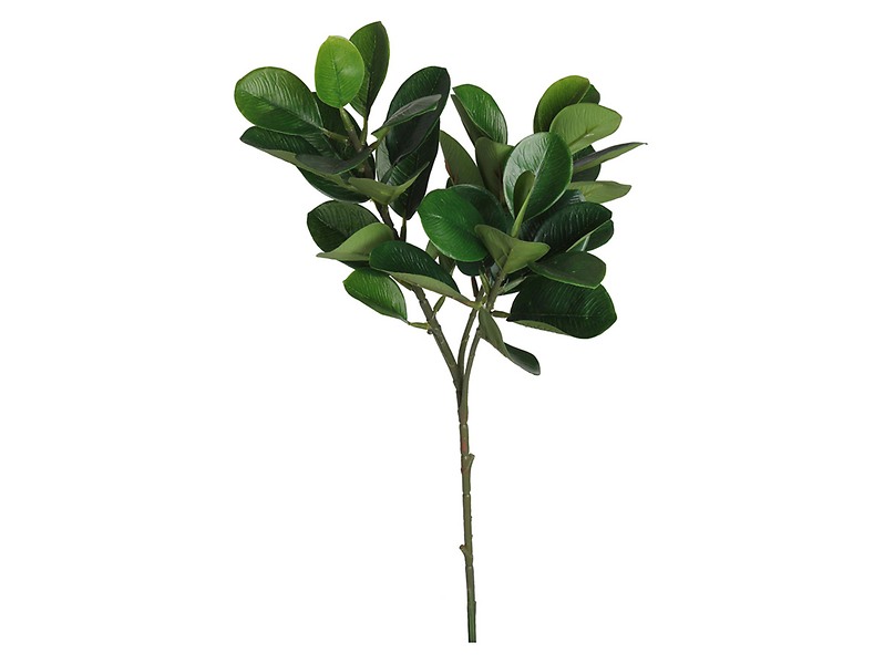 Bukszpan gałązka 46 cm