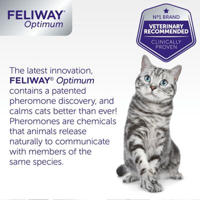 Feliway® Optimum Dyfuzor