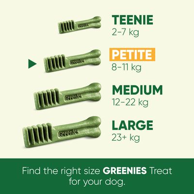 Greenies Hunde-Zahnpflege-Kauartikel Sparpackung 3 x 170 g