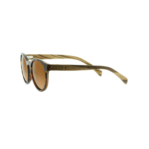  Gafas De Sol Feler Forest Hibride