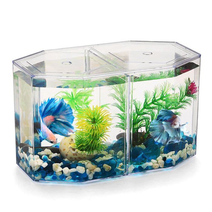Miniatuur tafelaquarium: Klein betta-aquarium met verwijderbare scheidingswand voor betta's en goudvissen - voor beginnende kinderen