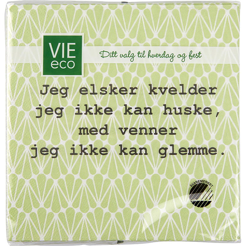 Vie Home -lautasliinat 20 kpl 33x33 cm