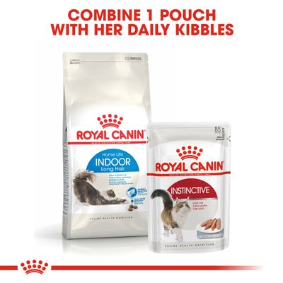 Royal Canin Hrană de interior cu păr lung
