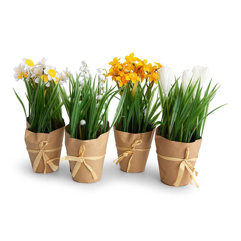 Blomsterkrokus 23 cm hvit