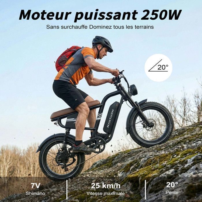 Electric bike - Maxturn MX10 - 500W motor - 48V 13.5Ah battery - 80-100km range - 20