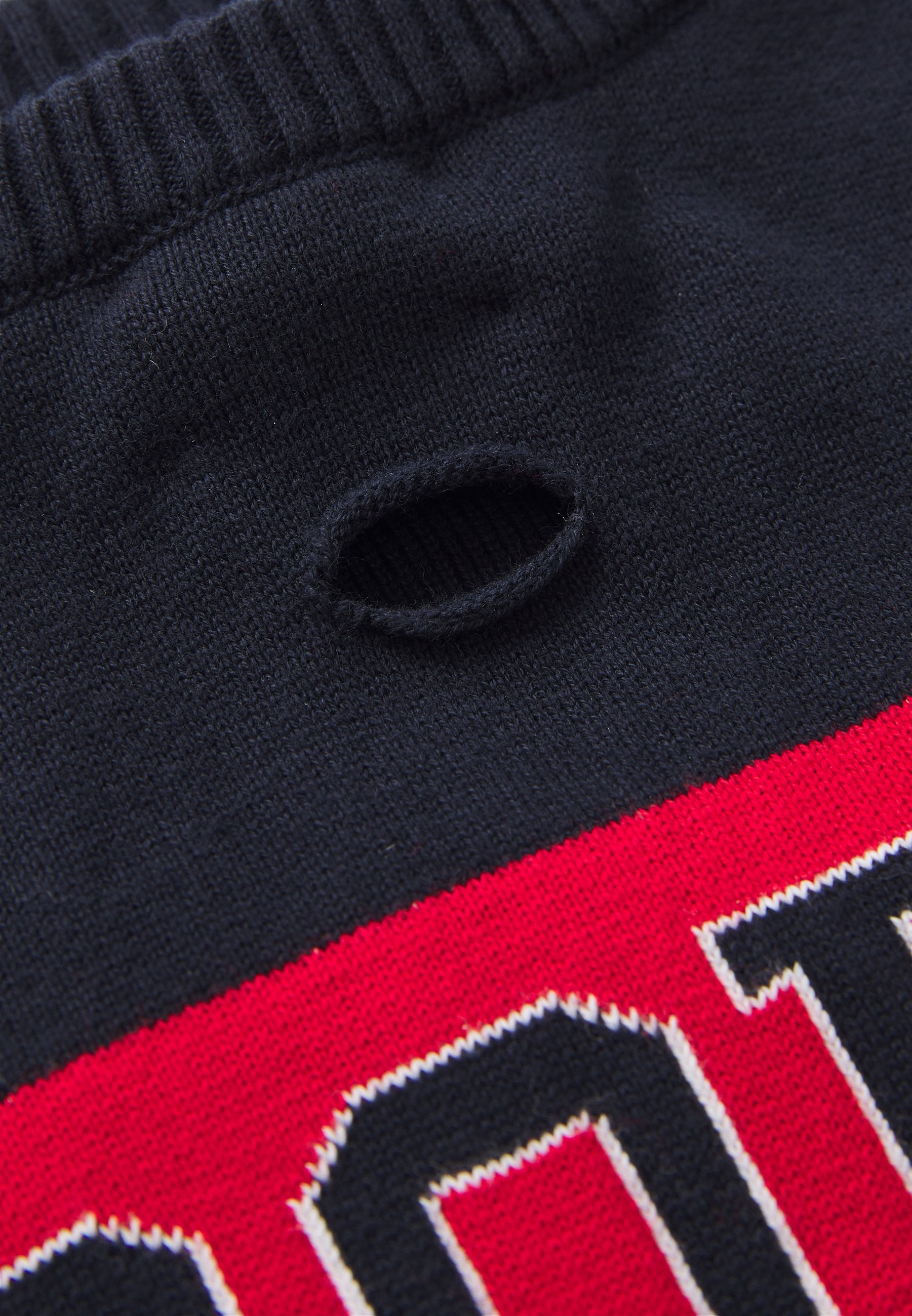 Polo Ralph Lauren hišni ljubljenčki