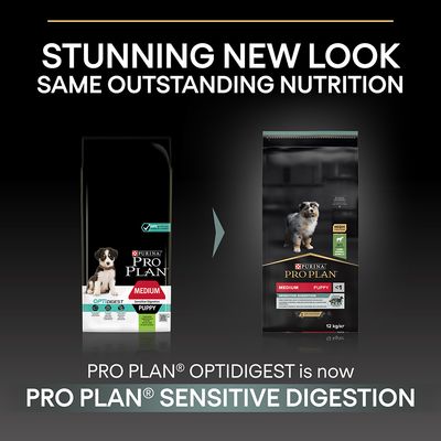 PURINA PRO PLAN Filhote Médio Cordeiro e Arroz Digestão Sensível
