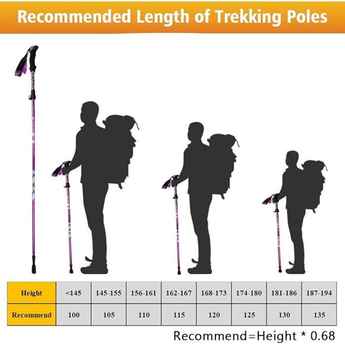 Bastón de marcha nórdica, bastón de senderismo plegable, 105-125 cm, bastón para senderismo y trekking.