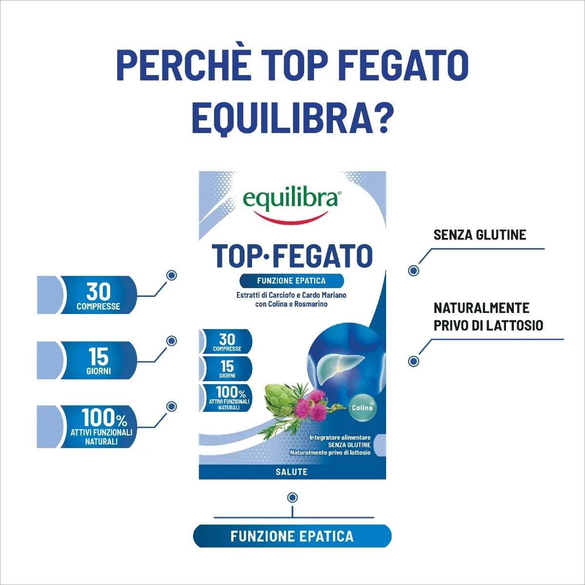 EQUILIBRA Equilibra Top Liver met aloë vera 30 tabletten Voedingssupplement voor een gezonde lever