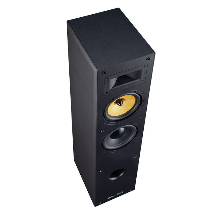 Enceinte colonne Davis Mani MK2 Noir (vendue a l'unité)