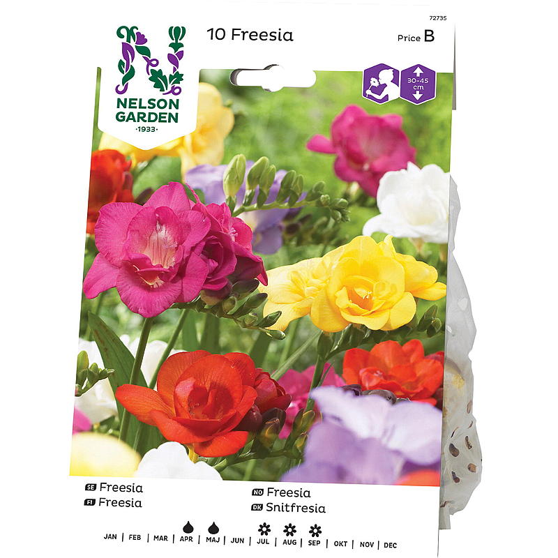 Fresia doble de Nelson Garden, colores variados