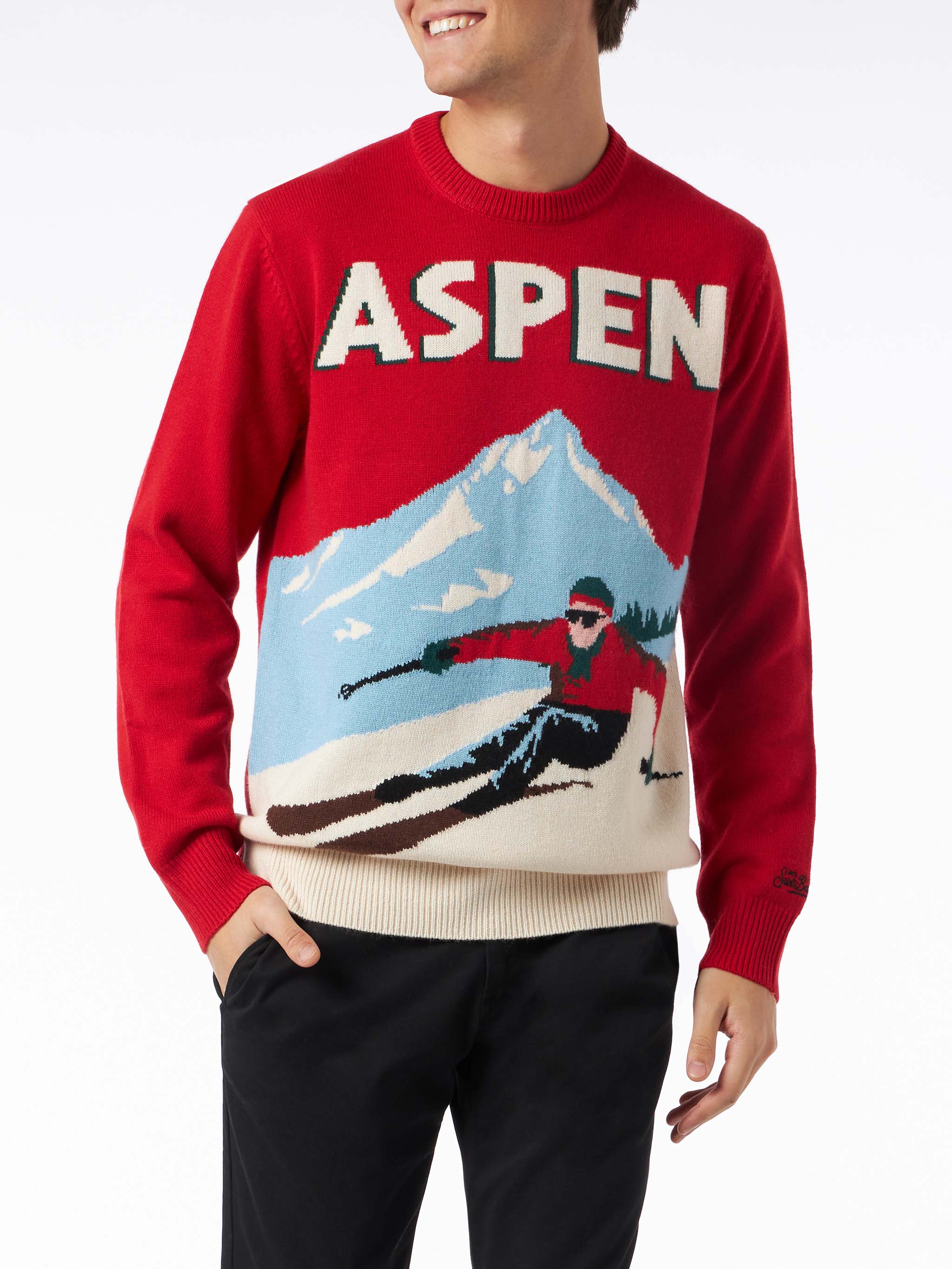 Herentrui met ronde hals en jacquardprint in Aspen-ansichtkaartmotief