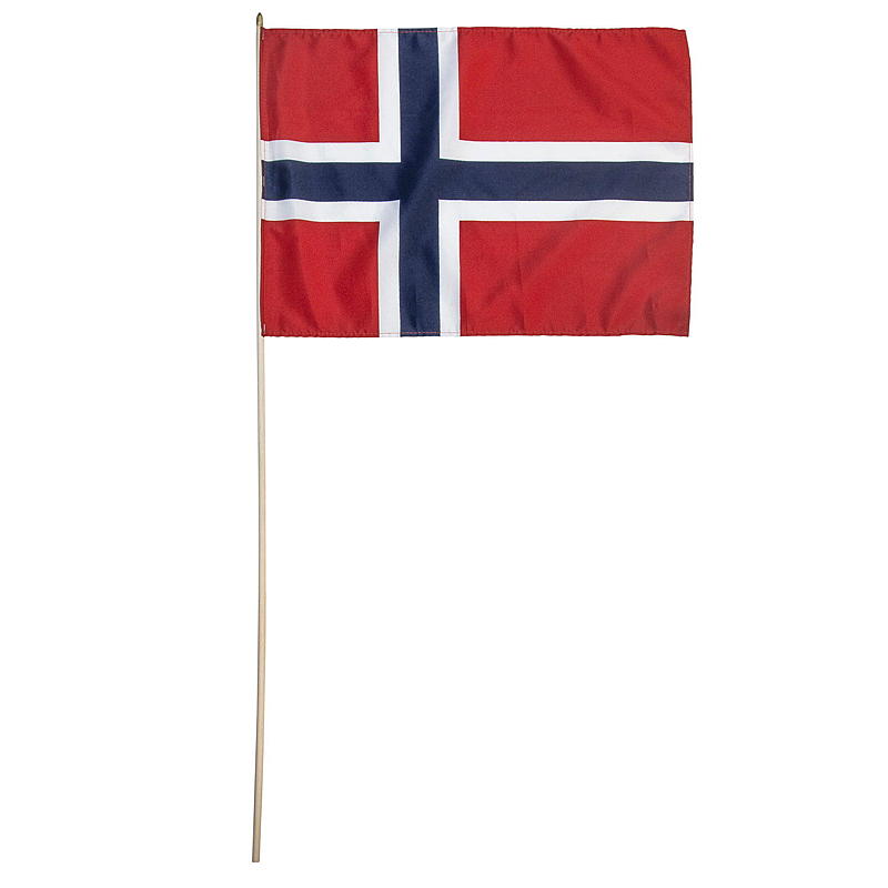 Giform vlag van 17 mei 31x43 cm