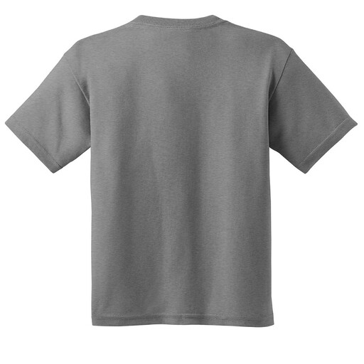 Gildan Kids Zachte, stijlvolle basic T-shirts met korte mouwen voor de zomer/warmte (2 stuks)