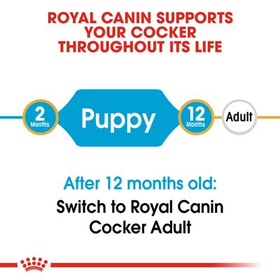 Royal Canin Cocker Spániel Puppy