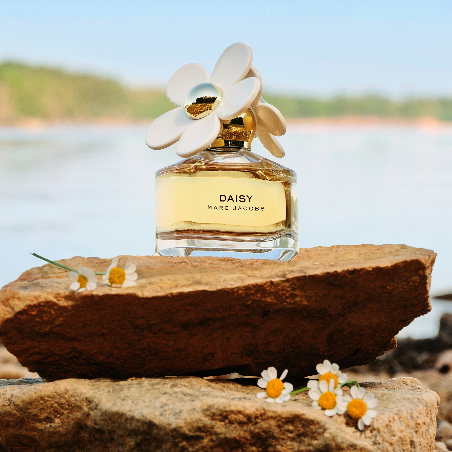Parfum Daisy 50 ml - Marc Jacobs