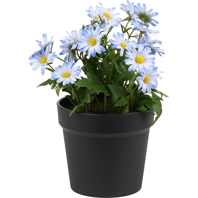 Huisje Madeliefje 27 cm
