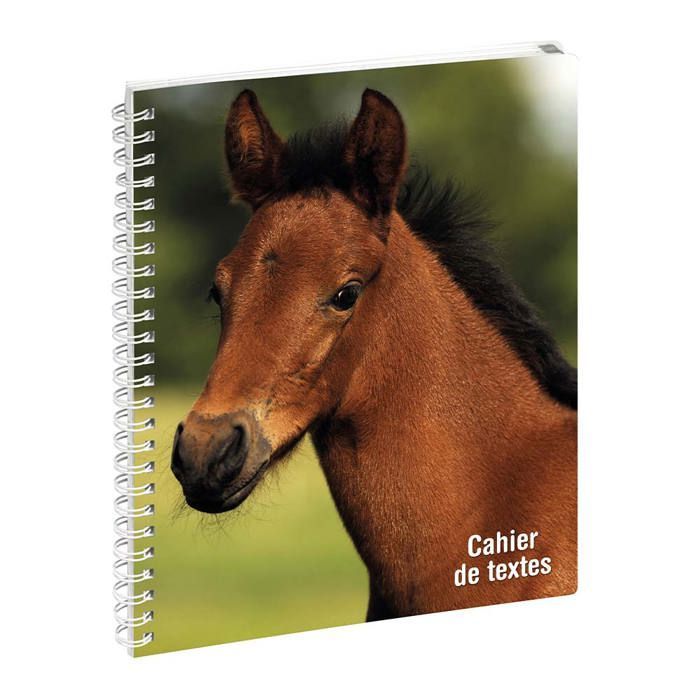 Spiral notebook - EXACOMPTA - Horse - Hardcover - Foal illustration - Black