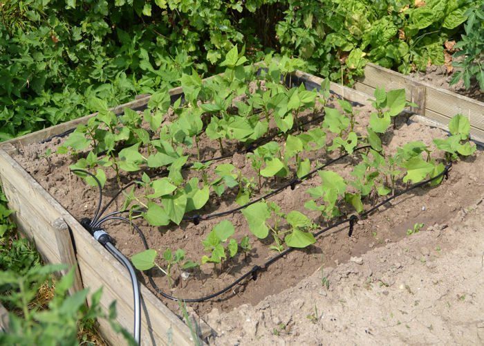 Kit d'arrosage goutte à goutte pour carré potager - 15m micro-tuyau Ø 6mm - 11 goutteurs réglables 0-6 L/h