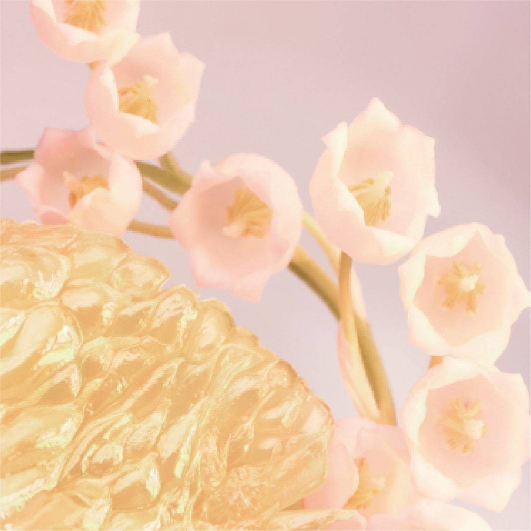 BVLGARI tualetes ūdens Rose Goldea Blossom Delight tualetes ūdens – 50 ml