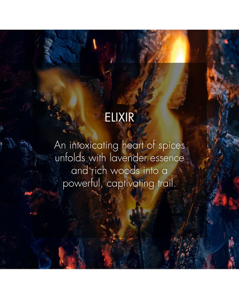 DIOR SAUVAGE Elixir