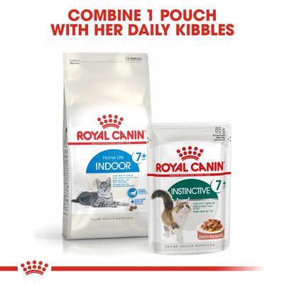 Royal Canin Indendørs 7+