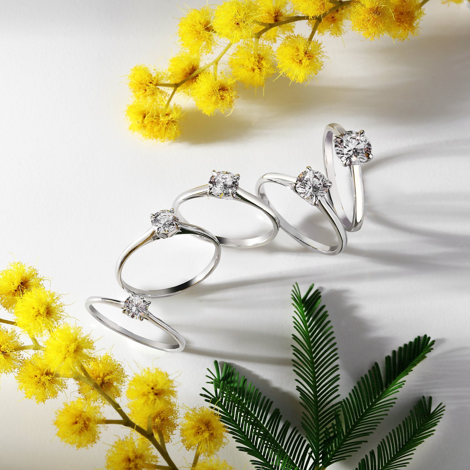 Live Diamond Bagues or blanc