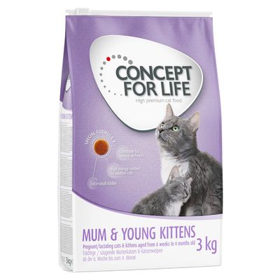 Concept voor het leven: Moeder en jonge kittens