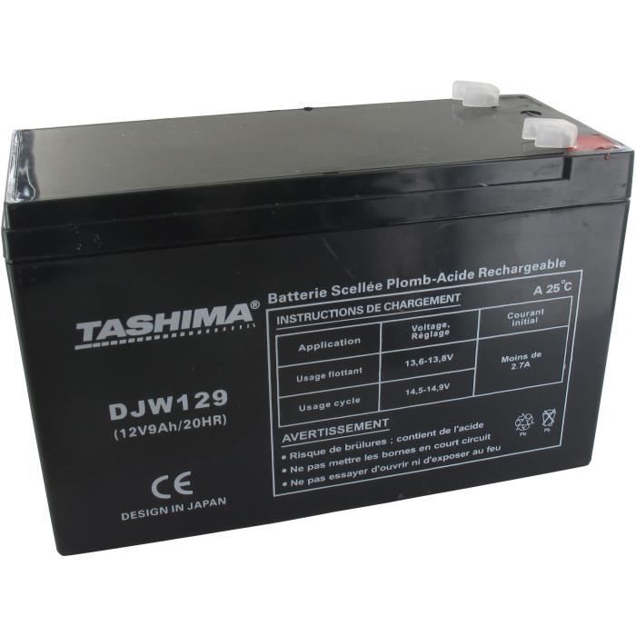 Batteria TASHIMA 12V, 9A gel/AGM compatibile con CASTELGARDEN, FLYMO, ROVER, STIGA e WOLF - L: 152, W: 65, H: 95mm, 100% impermeabile