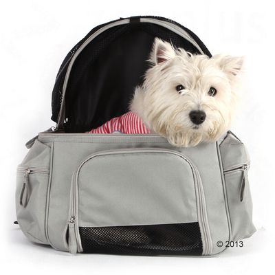 Sightseer Rucksack-Tragetasche für Haustiere – Grau