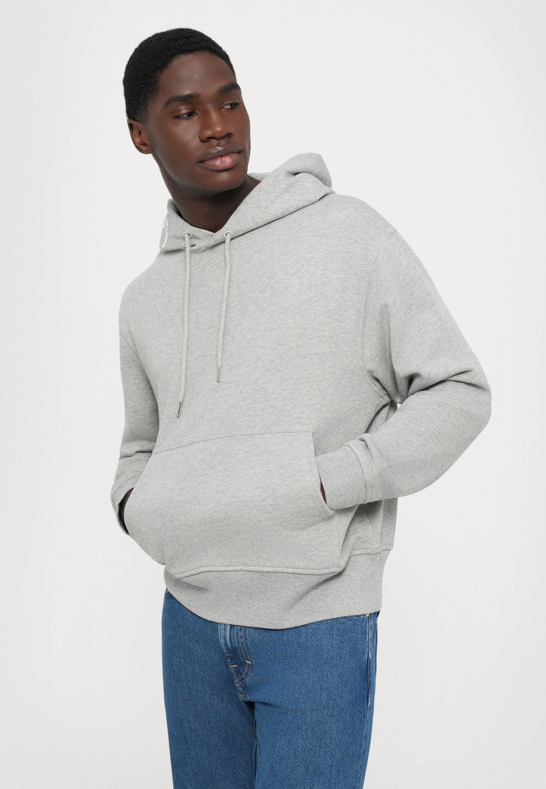 SWEAT À CAPUCHE BRODÉ FERMÉ - Sweat-shirt - gris clair chiné