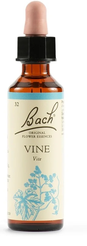 SCHWABE Schwabe Bachbloesems 32 druppels wijnstok 20 ml